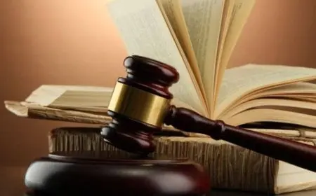 نسبة القبول في تخصص القانون