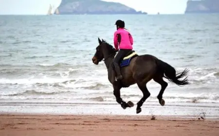 تعليم ركوب الخيل بالطريقة العربية