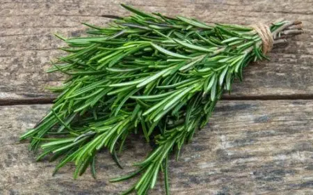 تجربتي مع إكليل الجبل والزبيب