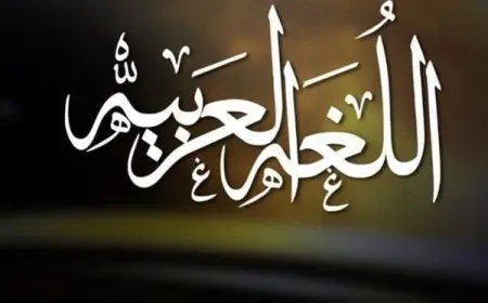 أقوى الحركات في اللغة العربية