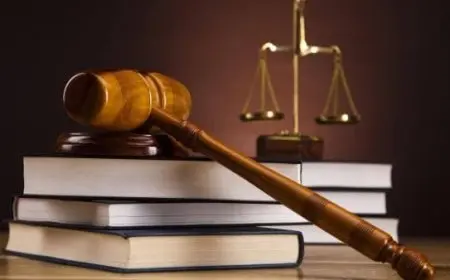 نسبة القبول في تخصص القانون للبنات