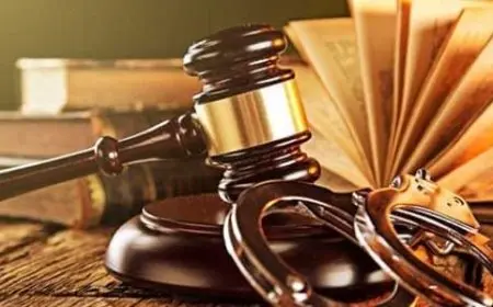 مواد القانون العام