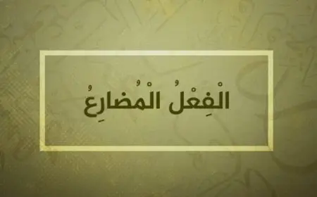 أنواع الفعل المضارع في اللغة العربية