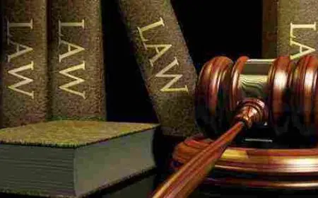 ما هو افضل تخصص في القانون