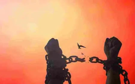 بحث عن حقوق الإنسان