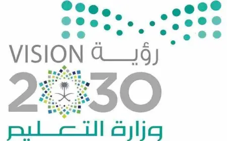 بحث عن رؤية 2030