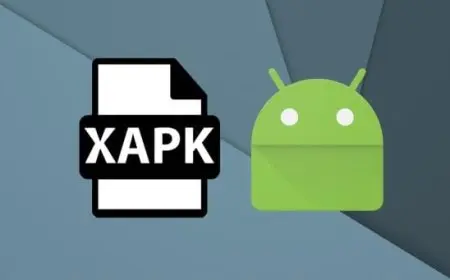 كيف تفتح ملفات xapk بطرق مختلفة