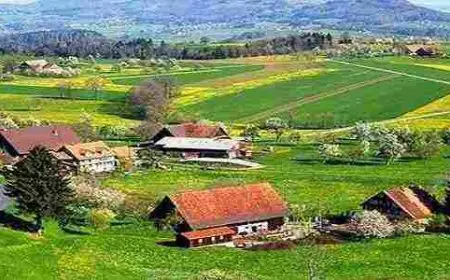 تعبير عن الريف والمدينة