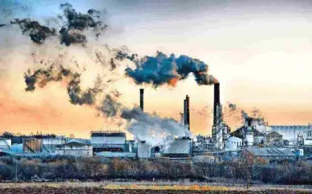 بحث عن تلوث البيئة ومصادر تلوث الهواء