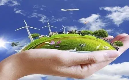 كيفية المحافظة على البيئة من التلوث