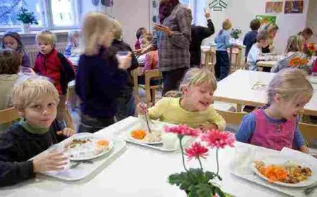 التعليم في فنلندا مميزاته وشروطه