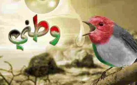 حكم عن الوطن