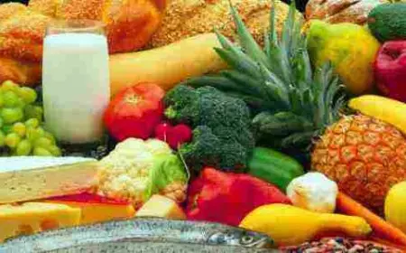 مقدمة عن الغذاء الصحي للأطفال والكبار