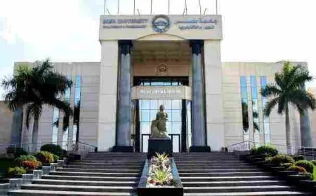 مصاريف كليات جامعة مصر للعلوم والتكنولوجيا 2024