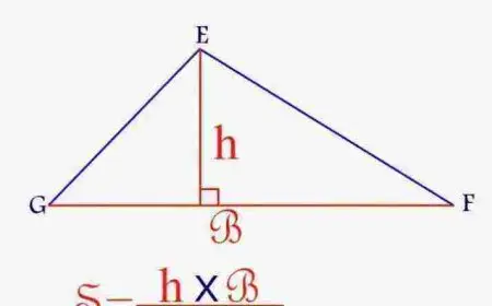 ما هي مساحة المثلث
