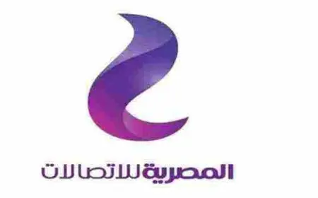 طريقة معرفة اسم صاحب رقم التليفون الارضي 2024