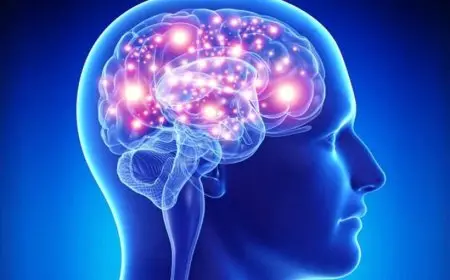 بحث عن علم النفس وفروعه