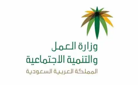 الاستعلام عن مدفوعات مكتب العمل