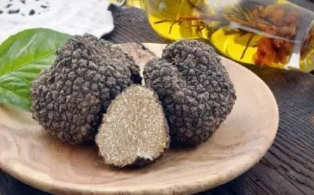 تجربتي مع ماء الكمأة