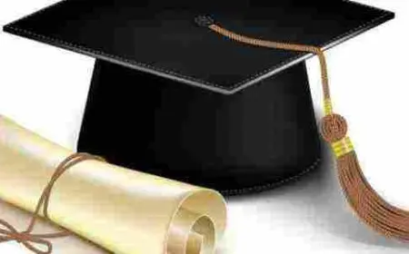 كيف احصل على منحة دراسية مجانية