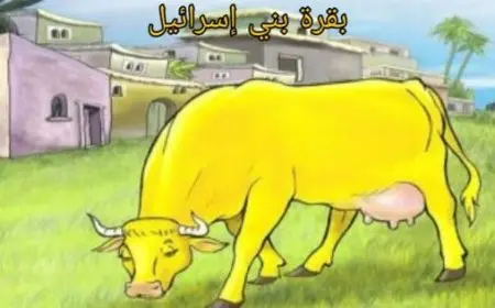 قصة بقرة بني إسرائيل