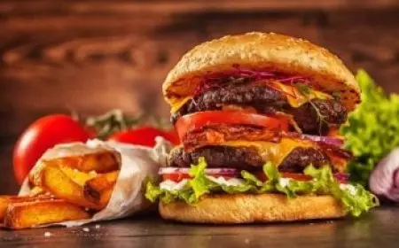 موقع الضمان الاجتماعي الجديد