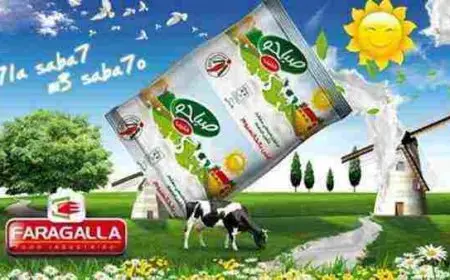 اسماء شركات مواد غذائية