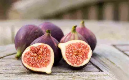 هل التين يزيد الوزن