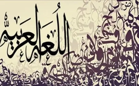 أنواع الجمل في اللغة العربية ومفهومها ومكوناتها