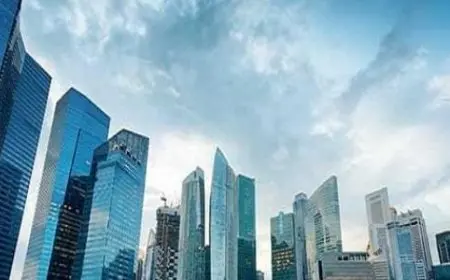 بحث عن أنواع الشركات في مصر