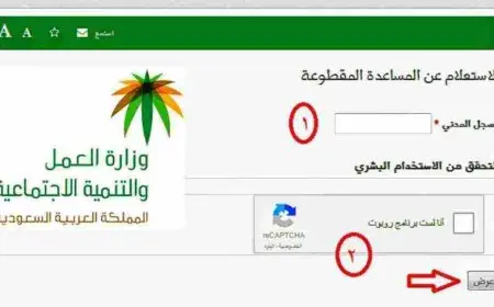 الاستعلام عن طلب بالضمان