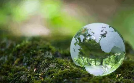 يوم الأرض ولماذا سمي بهذا الأسم