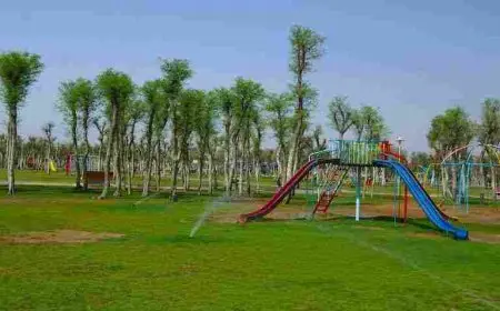 مقال عن أهمية الممتلكات العامة