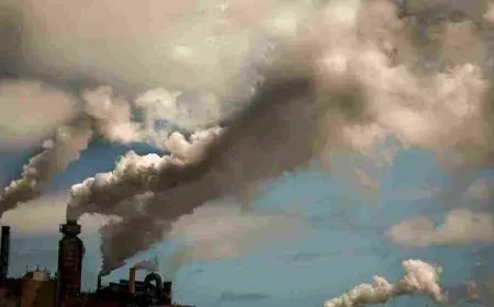 موضوع عن تلوث البيئة قصير