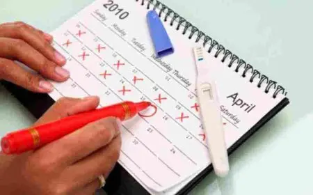 كيفية حساب أيام التبويض عند المرأة
