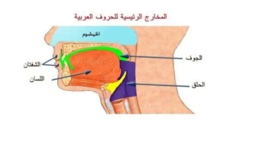 جامعة الطفيله التقنيه بوابة الطالب