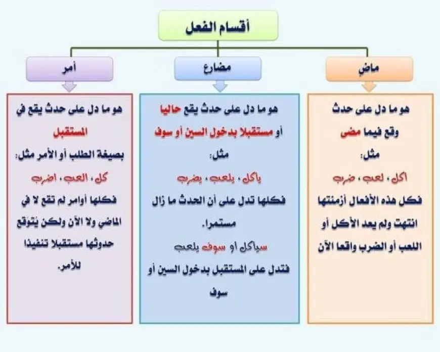 تدريبات على الفعل الماضي والمضارع والأمر