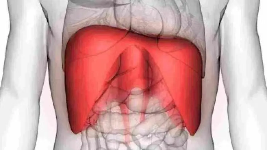 مصاريف جامعة MTI