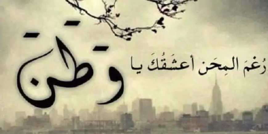 شعر عن حب الوطن للمتنبي