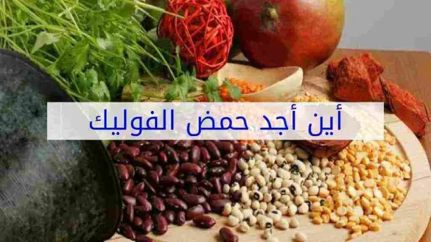 فوائد حمض الفوليك كاملة (الفوليك أسيد)