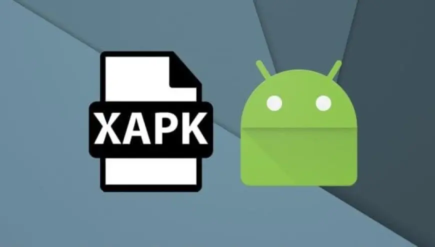 كيف تفتح ملفات xapk بطرق مختلفة