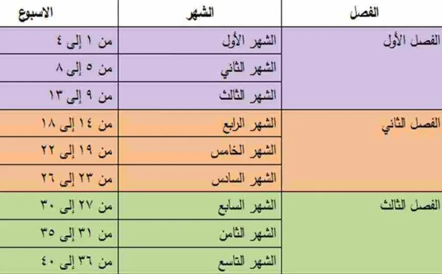 برنامج حساب الحمل بالاسابيع