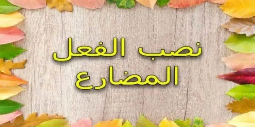 شرح نصب الفعل المضارع