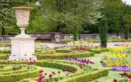 موضوع تعبير عن الحدائق العامة