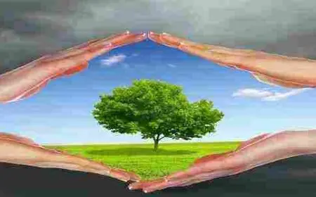 الحلول المقترحة للحد من التلوث البيئي