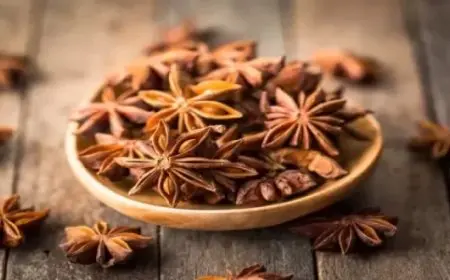 طريقة استخدام اليانسون النجمي