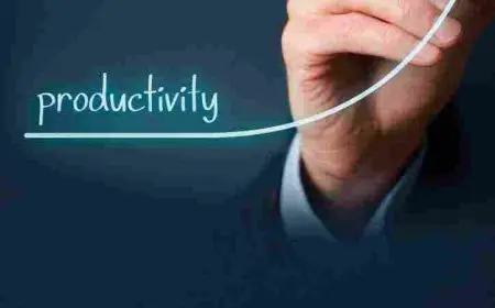 الفرق بين الإنتاج والإنتاجية