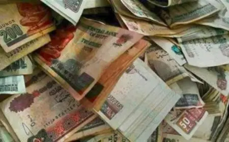 شروط التقديم على المعاش المبكر للقطاع الخاص