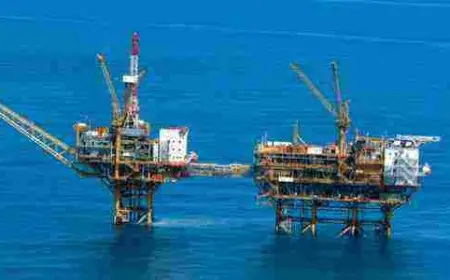 بحث عن البترول بالعناصر كاملة