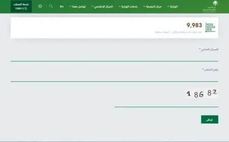 الضمان الاجتماعي الاستعلام عن الرصيد بوضع السجل المدني فقط